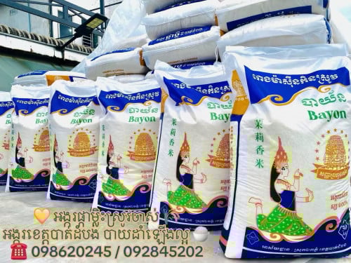 អង្ករផ្កាម្លិះ ស្រូវចាស់