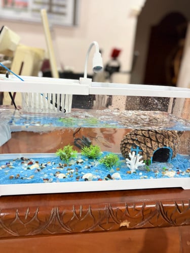 មានលក់ទូចិញ្ចឹមត្រី