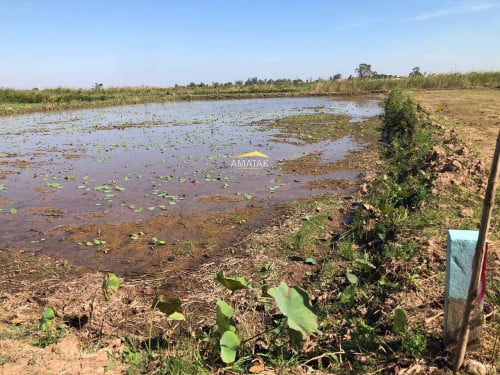 ដីចំការលក់​ ក្បែរបុរីនិងគំរោងដីពុះឡូត៏