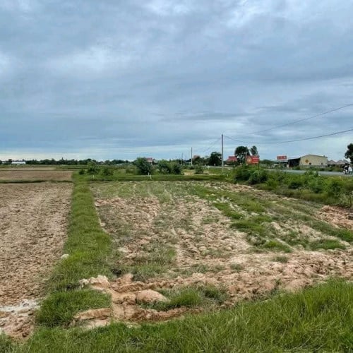 ទន់ៗតម្លៃល្អ