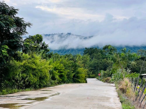 ដីលំហែជើងភ្នំ ជាប់ផ្លូវប៊េតុង បញ្ចុះតម្លៃ 3999 ភ្លាមៗ