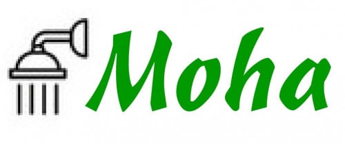 អនុប្រធាន