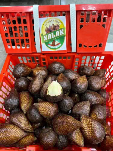 Salak Indonesia Premium