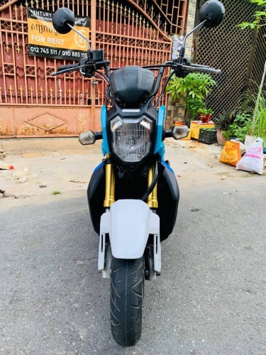 ZOOMER 2016 Japan 110cc