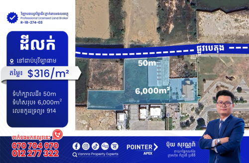 ដីផ្ទះនិងឃ្លាំលក់នៅជាប់បុរីឡាផាម