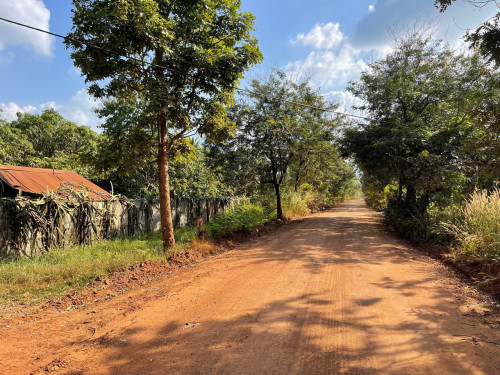 ដី 321 ហិកតា លក់បន្ទាន់