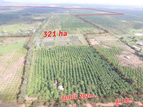 ដី 321 ហិកតា លក់បន្ទាន់