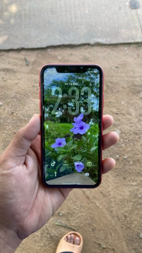 iPhone 11 (110$) ស្កេនមុខនៅ