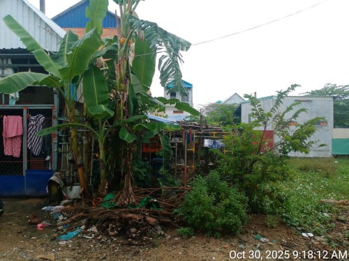 Land for sale ដីលក់