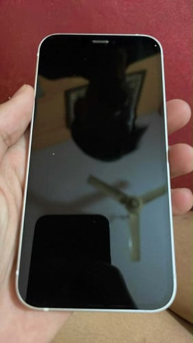 12mini អេក្រង់zin  មាន ស្គែន