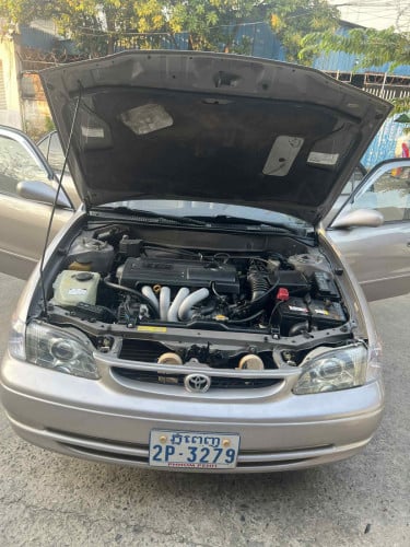 ឡានលក់ ឡានស្អាត រៀបចំរួចរាល់