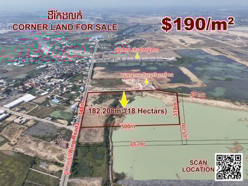 ដីកែងលក់ លើផ្លូវ កប់ស្រូវ $190/ការ៉េ