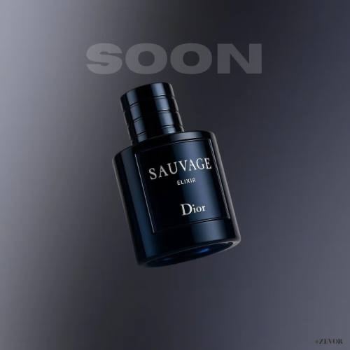 dior sauvage elixir 100ml price