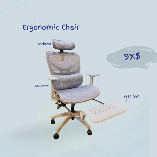 Ergonomic Chair, កៅអីសំណាញ់