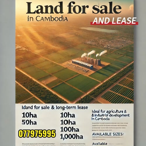 Land from 10ha to 1,000ha or bigger for sale and lease