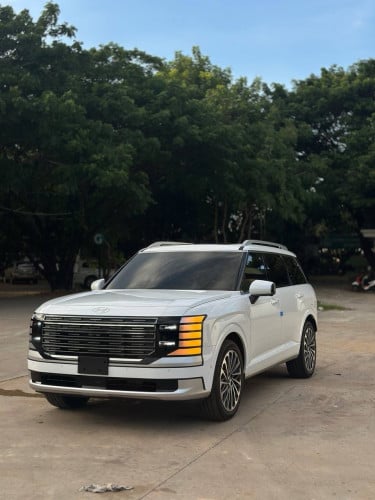 Palisade 2026 (Option Calligraphy)