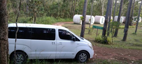 Staxer. Alphard. H1. Haice. Bus.019.020.023