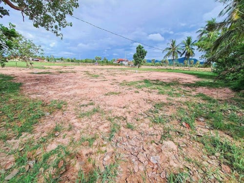 ដីលក់ (ម្ចាស់ផ្ទាល់)