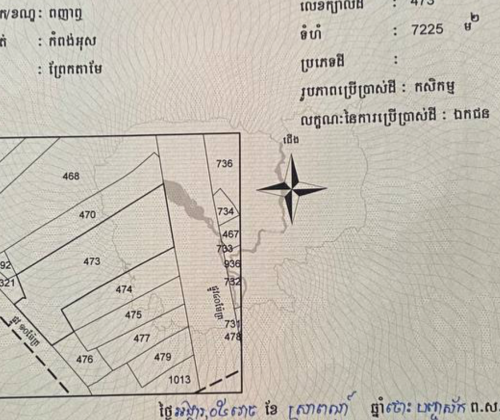 ឡៃឡុងចុះថ្លៃ 60% ជាប់ផ្លូវ២ មុខក្រោយ ផ្លូវ40&ផ្លូវ10