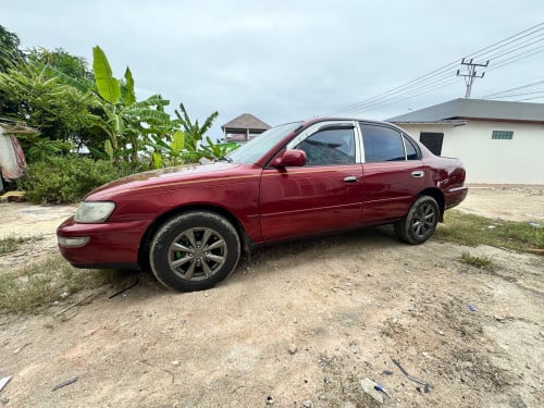 Corolla 1995 ឡានលះស្អាត