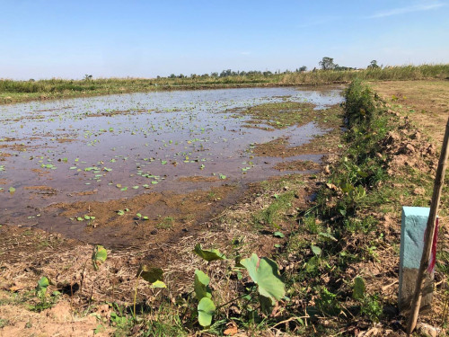 ដីលក់បន្ទាន់ ឆ្លងខាងអរិយក្សត្រ