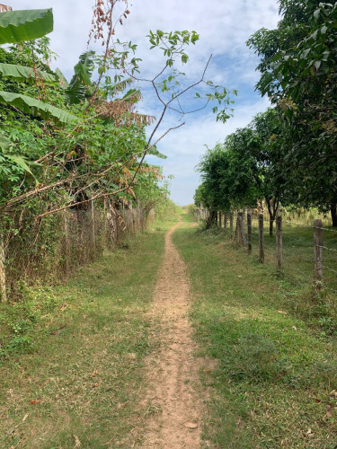 ដីលក់បន្ទាន់ ឆ្លងខាងអរិយក្សត្រ