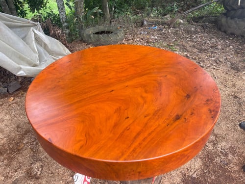 ប្រភេទឈើកន្ទុយដំរី មុខកាត់160cmកម្រាស21cm