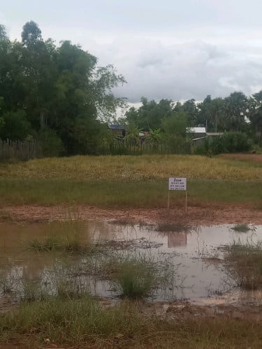 ដីលក់ 19x70(20000$)ចចារ មានប្លង់រឹង ទីតាំងនៅជិតសាលារៀនបឋម វិទ្យាល័យ មន្ទីរពេទ្យ