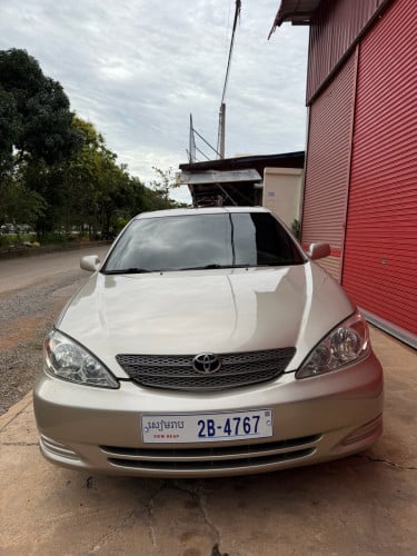 បាឡែនស្អាតនៅសៀមរាប