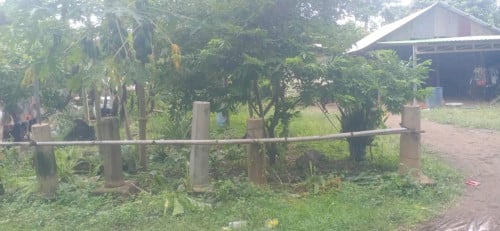 លក់ដីបន្ទាន់ នៅជិតផ្លូវជាតិជិះពីផ្លូវជាតិចូល50ម៉ែត្រផ្លូវប៊ូតុង ទីតាំង ស្រុកចំការលើ ខេត្តកំពង់ចាម