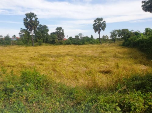 🏦Land for Urgent Sale (Negotiable), ABA Loan Available.