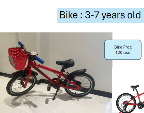 Bike Frog 3-7 years old