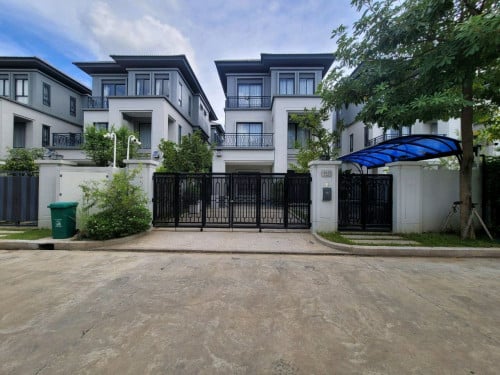 Queen-Bជីបម៉ុង60mលក់បន្ទាន់