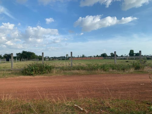 ដីនៅសៀមរាប