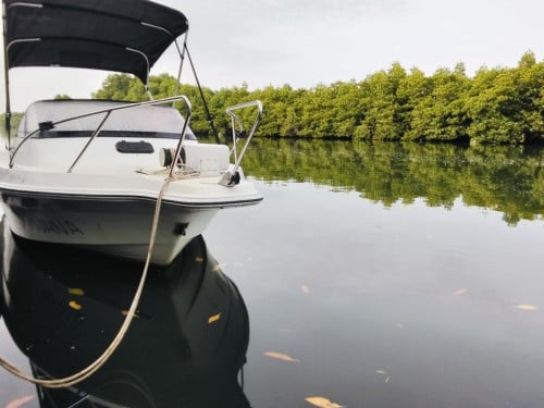 អ៊ុកប័រលក់