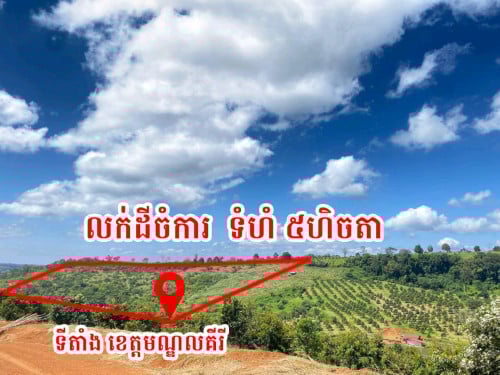 ដីចំការ អាស្រ័យផលបាន (លក់បន្ទាន់ តម្លៃចរចារ)