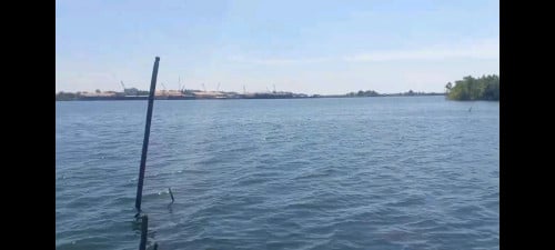 ដីជាប់ដៃសមុទ្យប្លង់រឹង