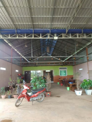 លក់ផ្ទះ ដី អាចរកស៊ីបាន