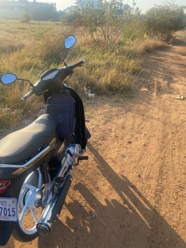 ម្ចាស់​ដេីម