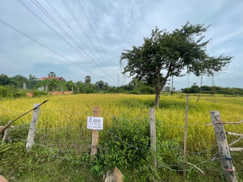 ដីលក់បន្ទាន់ 16mx34m ជាប់កន្លែងវាយកូនគោល Chhun ON