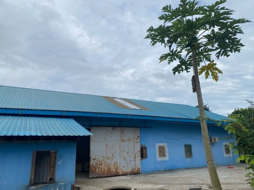 កន្លែងចិញ្ចឹមត្រី + Warehouse + បន្ទប់ស្នាក់នៅ Ready | ទំហំធំ សក្ដានុពលខ្ពស់ | $380/ខែ (Negotiate)