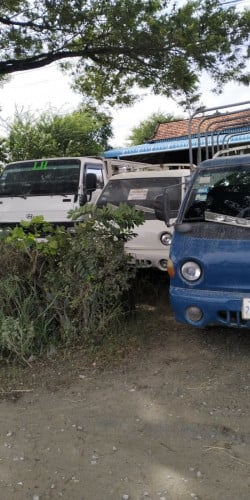 077787718/087897996/0962909094