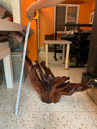 គល់ឈេីគ្រញ៉ូង