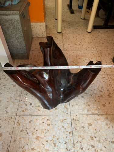 គល់ឈេីគ្រញ៉ូង