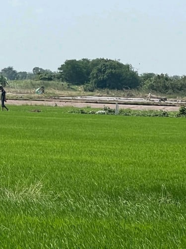 កៀនស្វាយ ជិតស្តុបផែជាតិលេខ១ បត់ចុះពីករវាត់ក្រុង