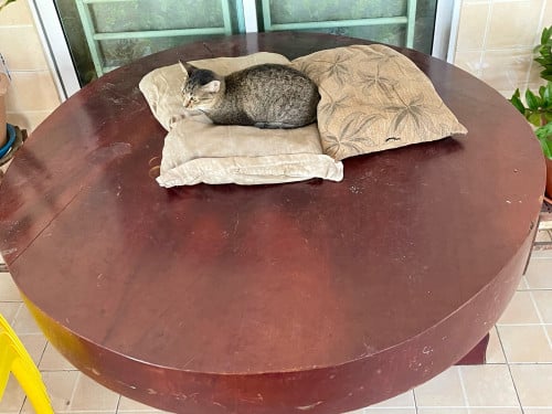 ចង់លក់តុឈើអត់កន្លែងទុក