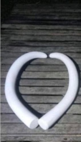 លក់ក្បាលដំរីសម្លរាប់តាំងលម្អ