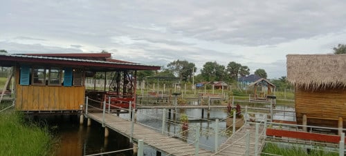 ដីលក់បន្ទាន់ពិតប្រាកដបាទ.....