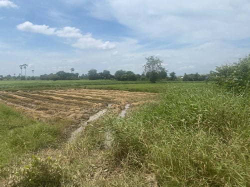 🏦Land Available for Urgent Sale at a Special Price (Negotiable).