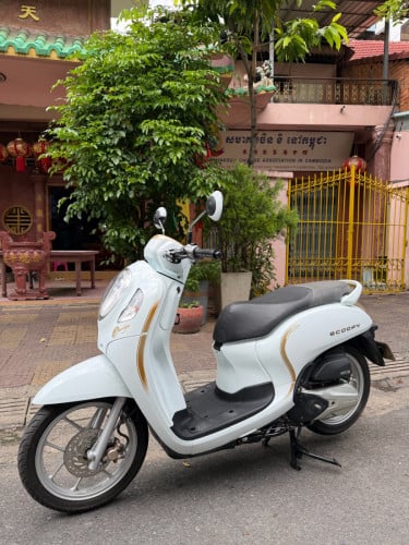 Honda Scoopy